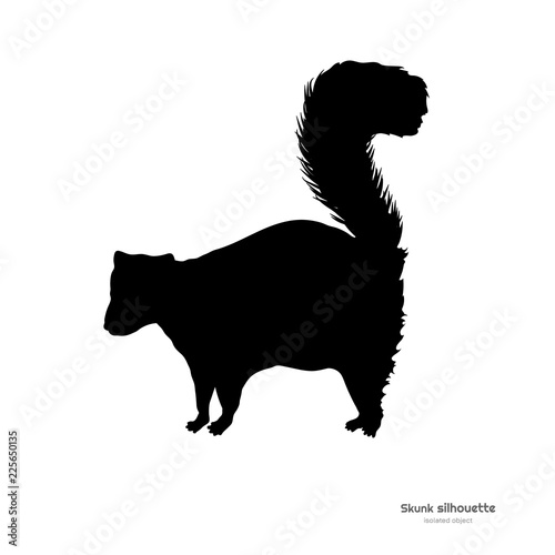 Black silhouette of skunk. Isolated image on white background. Animal of North America