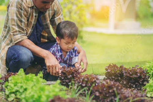 Dad teaching his son how to plant and care vegetable garden.