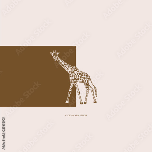 Vector card design. Sketch drawing. Two colors giraffe. Cover design.