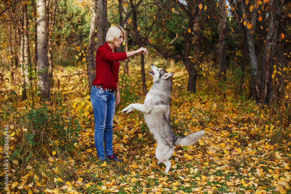 Beautiful caucasian girl plays with husky dog in autumn forest Beautiful caucasian girl plays with husky dog in autumn forest
