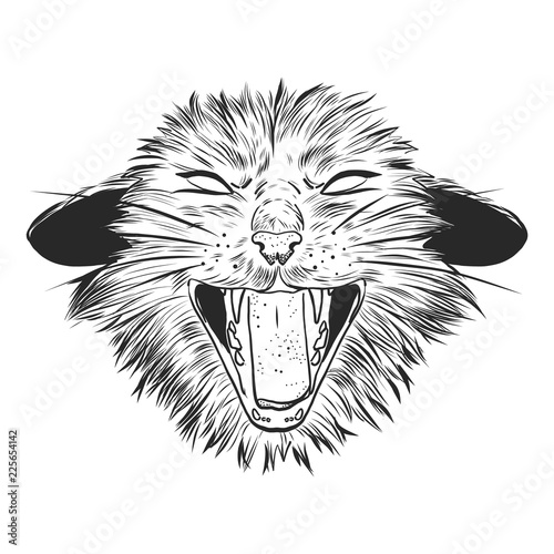 Fashion Vector illustration. Design and print for T-shirts on the theme of the struggle for animal rights, Wild Power. T-shirt for vegans. A furious cat in the style of ink. Animal liberation logo