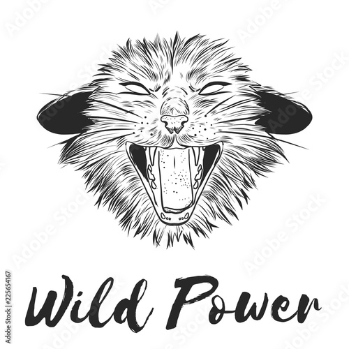 Fashion Vector illustration. Design and print for T-shirts on the theme of the struggle for animal rights, Wild Power. T-shirt for vegans. A furious cat in the style of ink. Animal liberation logo