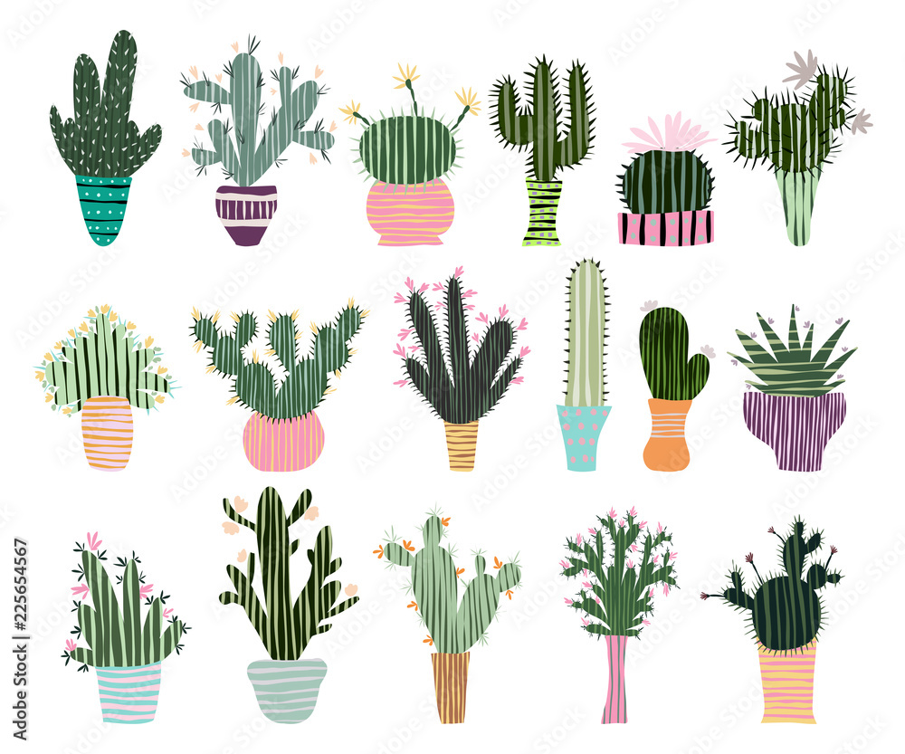 Cactuses and succulents set. Cacti in flowerpots isolated on white background. Vector illustration Cactuses and succulents set. Cacti in flowerpots isolated on white background. Vector illustration