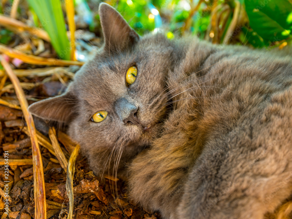 Sonnenbad StockFoto Adobe Stock