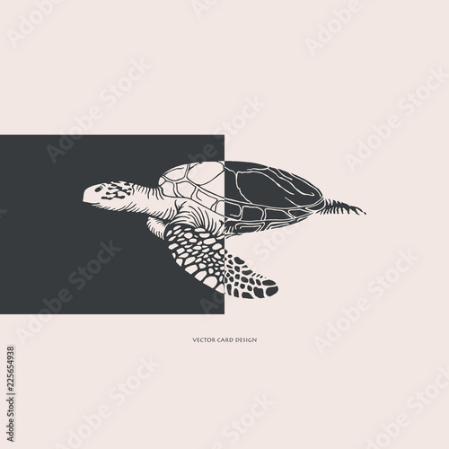 Vector illustration.Sea turtle silhouette. Vector card. Cover design.