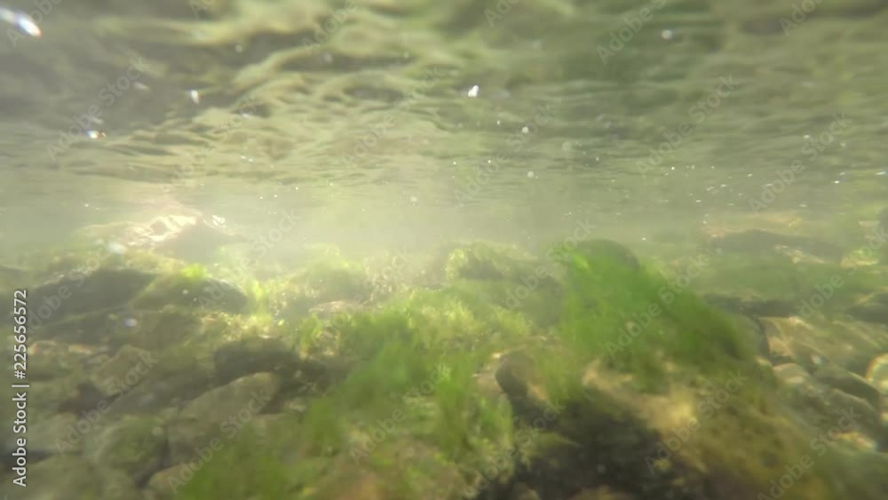 Underwater green river stream of water with rocks Underwater green river stream of water with rocks