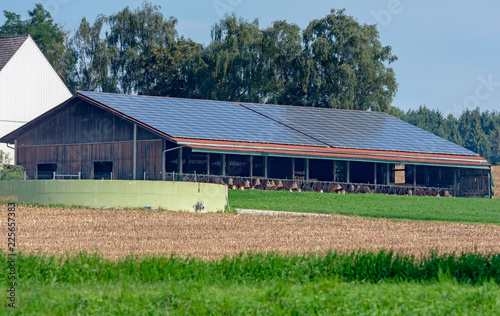 Cowshed with solar cells on the roof
