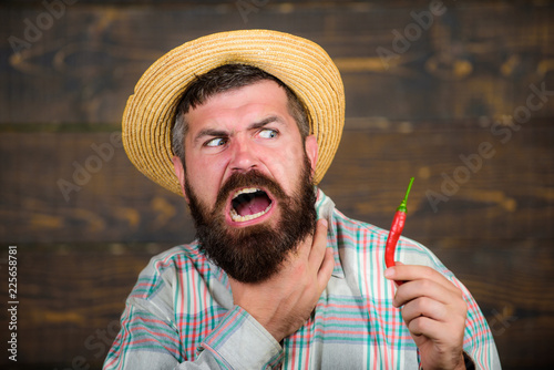 Man hold pepper harvest. Farmer presenting hot chilli pepper wooden background. Bearded farmer hold pepper in hand. Pepper harvest concept. Rustic farmer in straw hat likes spicy taste photo