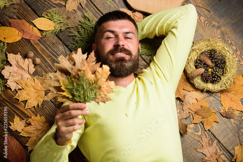 Hipster with beard enjoy season hold autumn leaves bouquet. Fall and autumn season concept. Man bearded smiling face lay on wooden background with orange leaves top view. Fall atmosphere attributes photo