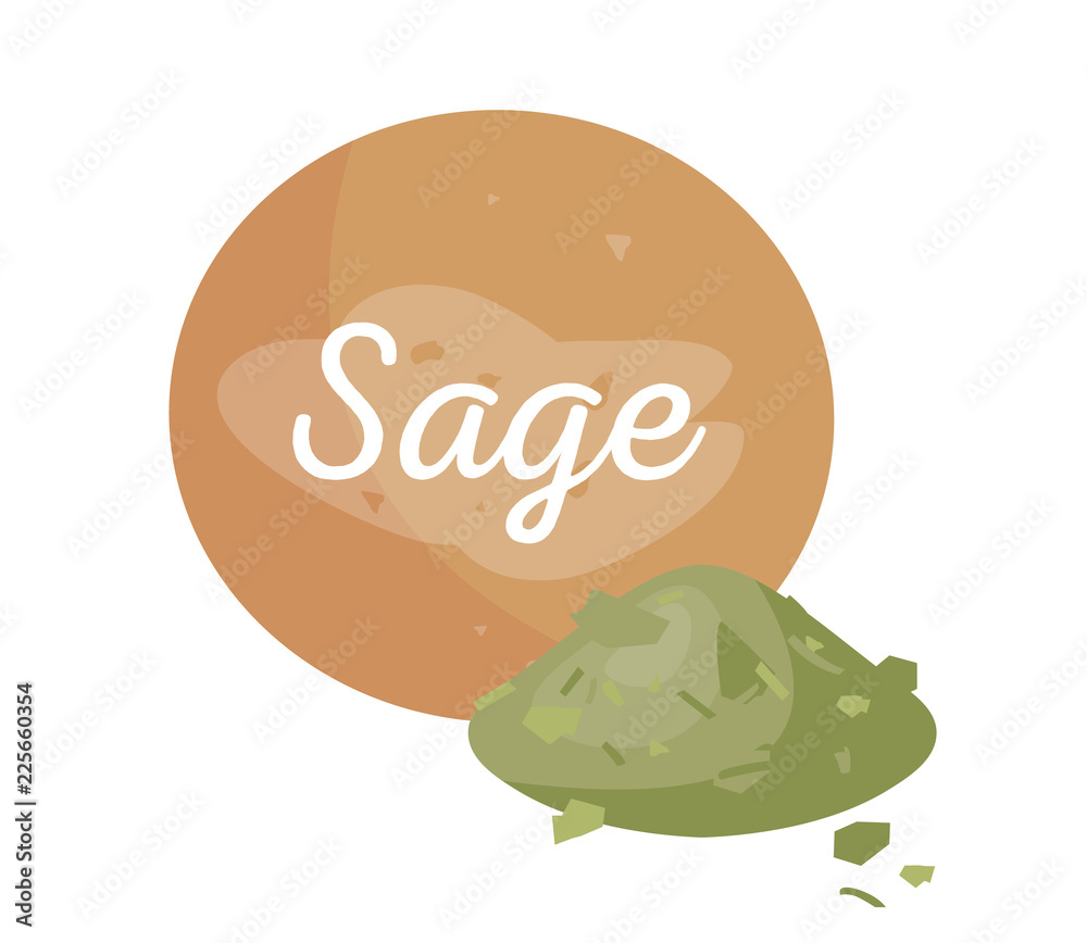 Sage Poster Text and Powder Vector Illustration Sage Poster Text and Powder Vector Illustration