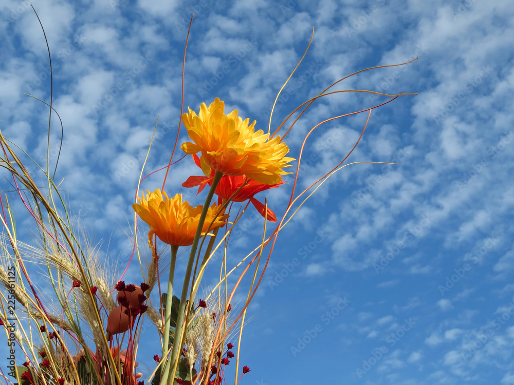 Bouquet of colorful autumn flowers with ears of wheat on the background of blue sky and white clouds. Concept of a greeting card for thanksgiving day Bouquet of colorful autumn flowers with ears of wheat on the background of blue sky and white clouds. Concept of a greeting card for thanksgiving day