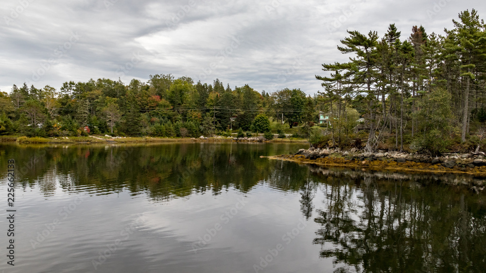 Fototapeta premium lake in forest
