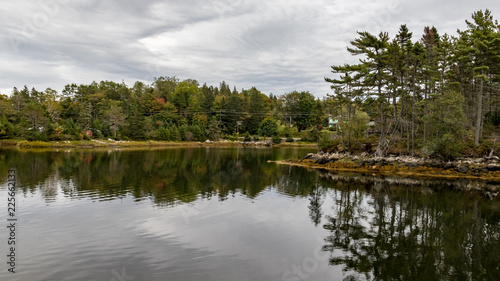 lake in forest