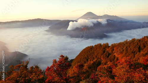 fantastische Aussicht auf Vulkane im Morgenlicht im Bromo-Tengger-Semeru National Park in Java