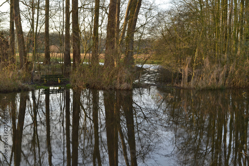 reflectie van bomen in een vennetje in natuurgebied bij de Kruisbergse bossen photo