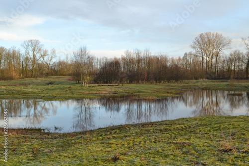 reflectie van bomen in een vennetje in natuurgebied bij de Kruisbergse bossen photo