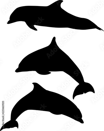 silhouettes of three black dolphins on white