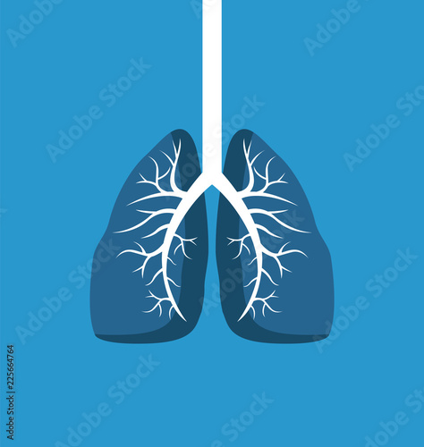 Lungs Image Banner Isolated on Blue Background