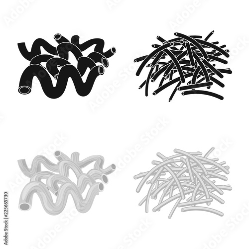 Isolated object of pasta and carbohydrate sign. Collection of pasta and macaroni vector icon for stock.