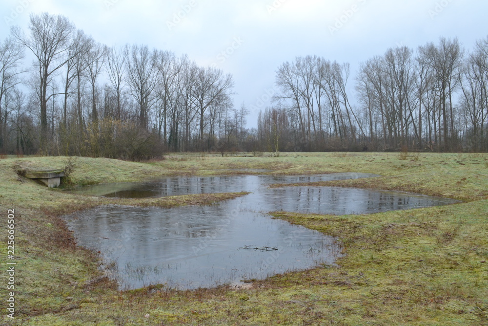 bevroren vennen met hoogwater in natuurgebied bij de Kruisbergse bossen