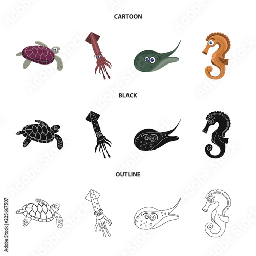 Isolated object of sea and animal symbol. Set of sea and marine vector icon for stock.