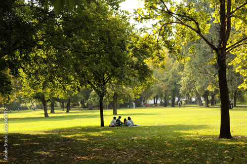 пикник в парке