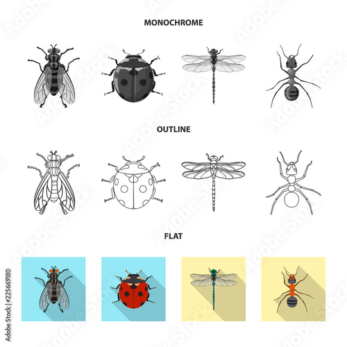 Vector illustration of insect and fly symbol. Set of insect and element vector icon for stock.