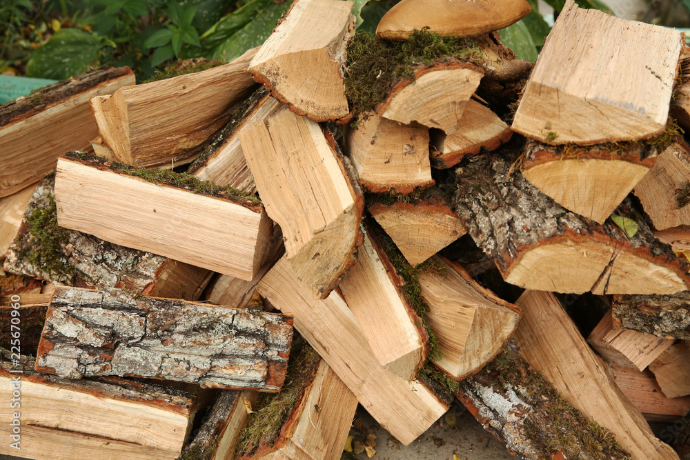 Naklejka premium pile of fire wood