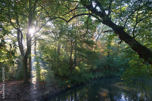 A hazy sun shines through a humid forest with pond in early autumn 