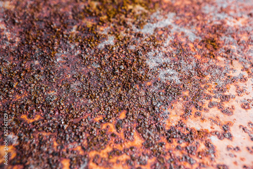 Rust on steel plate © chalongrat