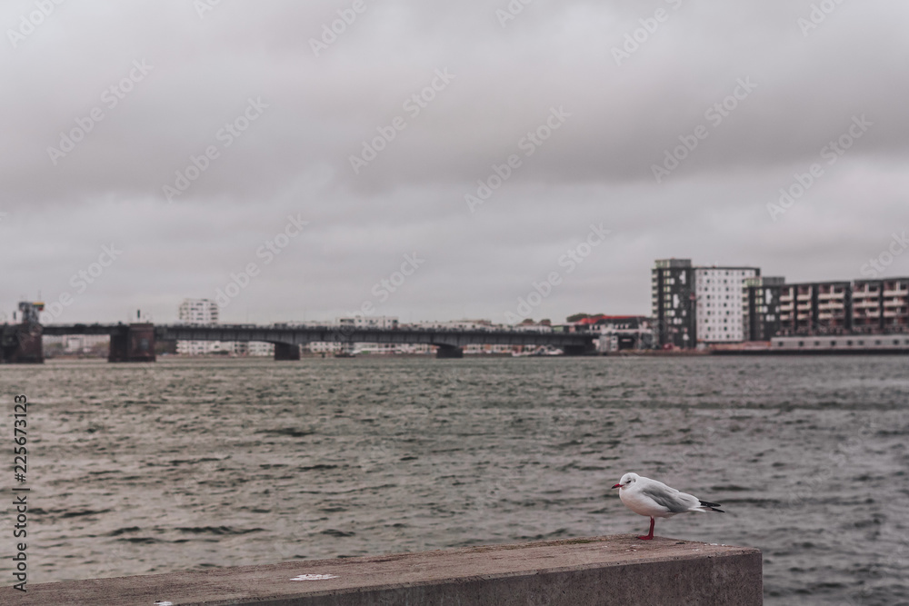 Aalborg quay, Denmark