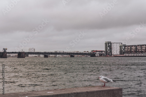 Obraz na płótnie Aalborg quay, Denmark w salonie