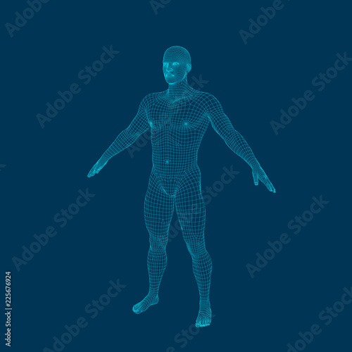 Standing man. Wireframe hum...
