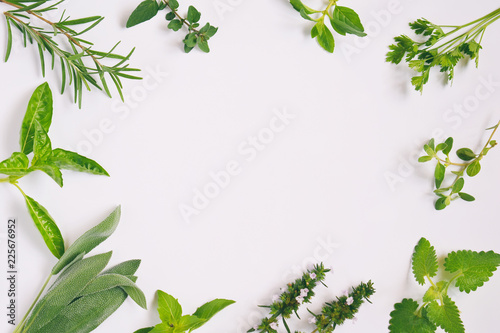 Fresh spicy and medicinal herbs on white background. Border from various herb - rosemary, oregano, sage, marjoram, basil, thyme, mint. Food frame for recipe photo