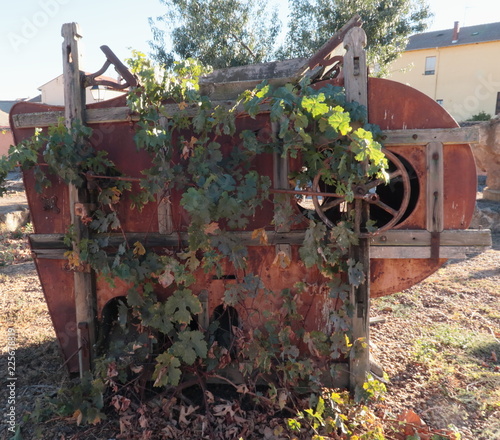 Antigua máquina despalilladora-estrujadora de prensado de las uvas para hacer vino o mosto, utilizada en la vendimia , recogida de uva, con planta de parra