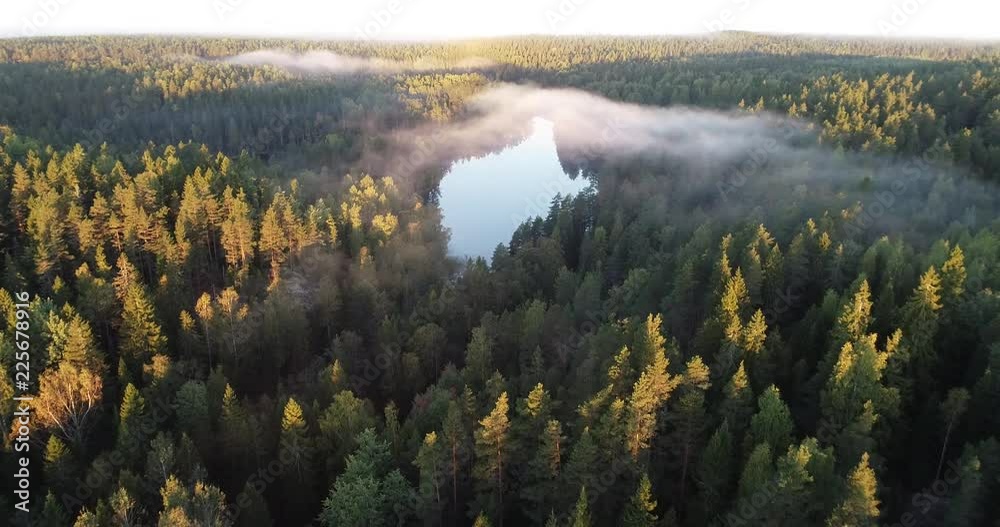 Aerial footage video of foggy morning. Flying over forest and the lake. Sunrise time.