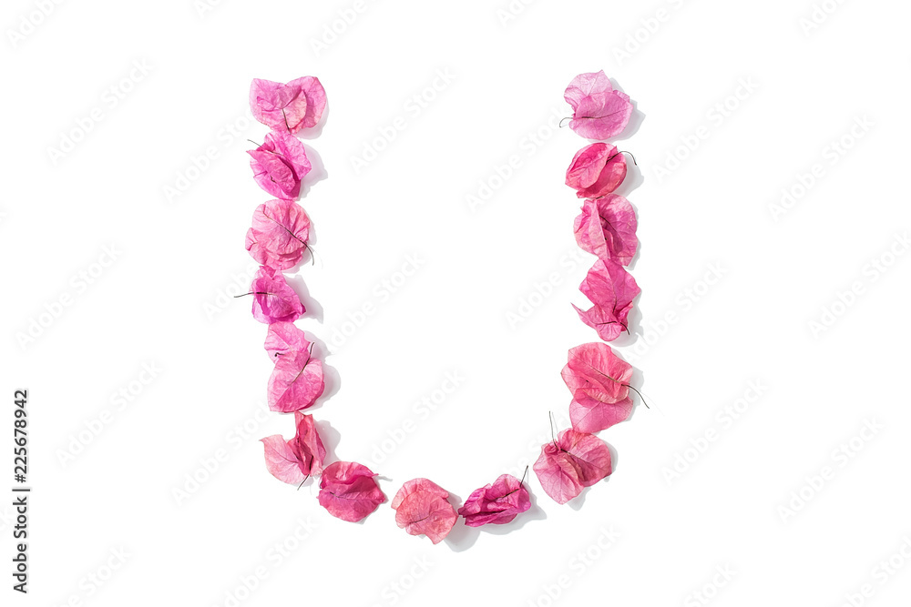 Dry triangle plum blossom into letters U Dry triangle plum blossom into letters U