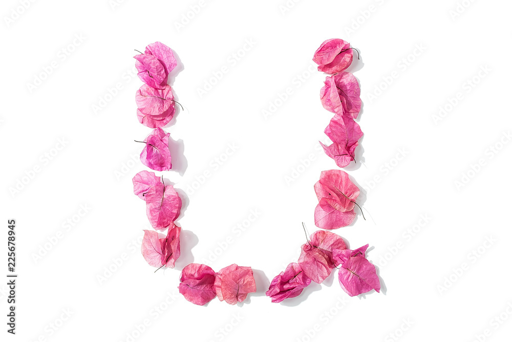 Dry triangle plum blossom into letters U Dry triangle plum blossom into letters U
