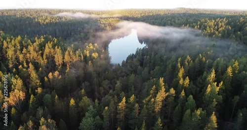 Aerial footage video of foggy morning. Flying over forest and the lake. Sunrise time. photo