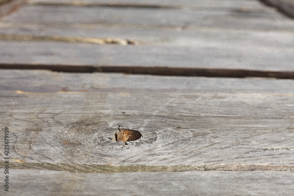 Graue Holzbretter, Hintergrundbild Graue Holzbretter, Hintergrundbild