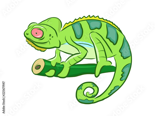 Fototapeta Naklejka Na Ścianę i Meble -  Colorful Chameleon Cartoon Clipart