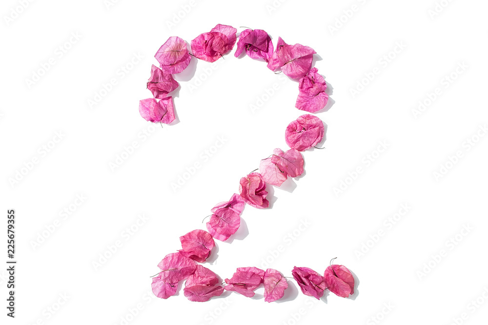 Dry triangle plum blossom into digital 2 Dry triangle plum blossom into digital 2