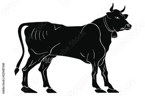 Black cow with bell isolated on white background.