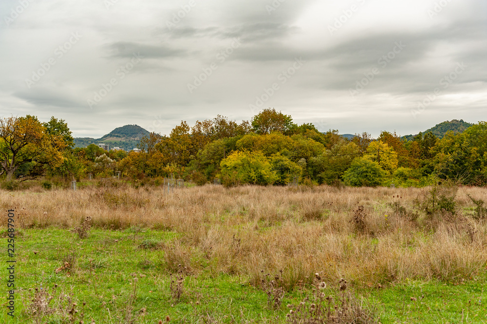 Herbstliche Landschaft bei bewölktem Himmel mit Wiese, Büschen und Bäumen