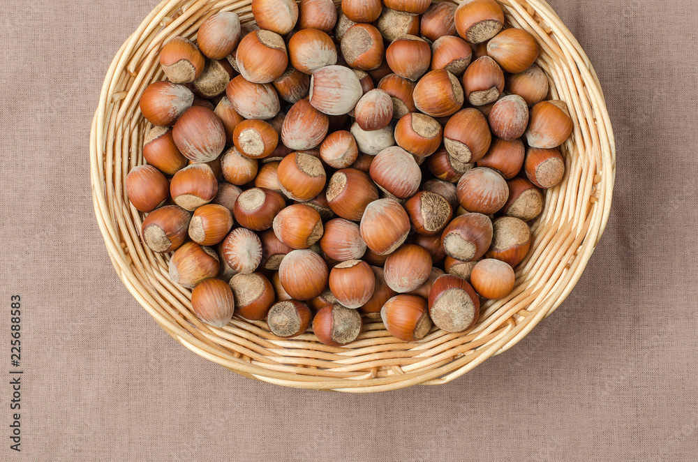 Hazelnut in peel on a light burlap.