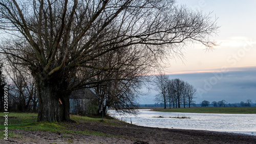 Wallpaper Mural Jesienne rozlewiska rzeki Narew, Góra Strękowa Torontodigital.ca