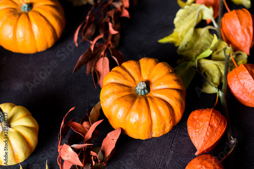 bright orange mini pumpkins for halloween on black background