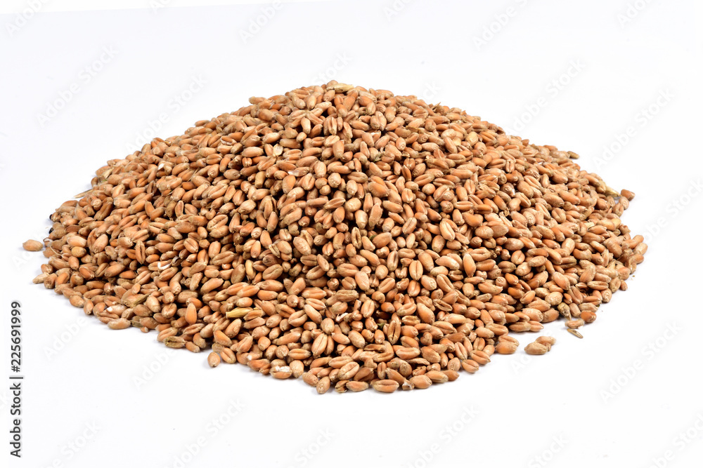pile of wheat pile of wheat