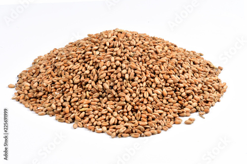 pile of  wheat