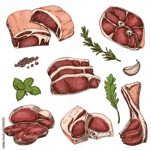 Vector set of different color meats in sketch style